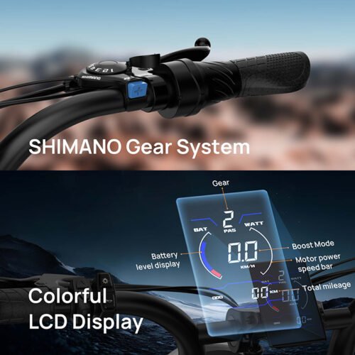 URLIFE T2 20" Electric Dirt Bike 745W Motor 48V 15.6Ah Battery