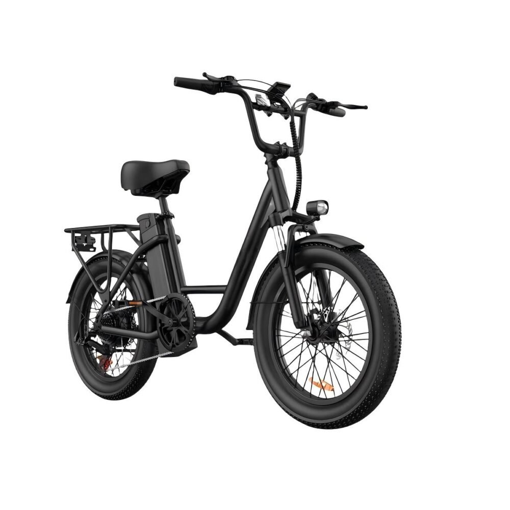 Electric Bike, 1000W Motor, 48V 13Ah Battery, 20" Fat Tire | 28MPH Top Speed | 80 Miles Max Range | All-Terrain | Removable Battery | Colorful Display | For Adults and Teens