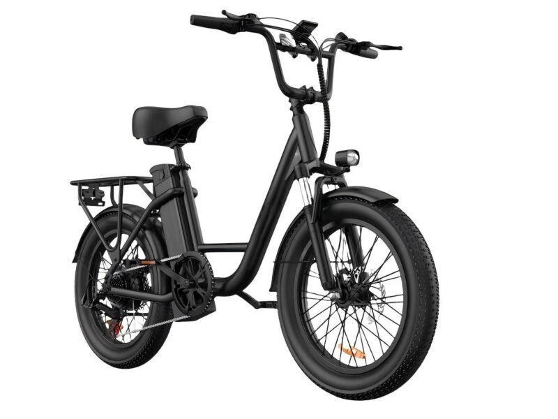 Electric Bike, 1000W Motor, 48V 13Ah Battery, 20" Fat Tire | 28MPH Top Speed | 80 Miles Max Range | All-Terrain | Removable Battery | Colorful Display | For Adults and Teens
