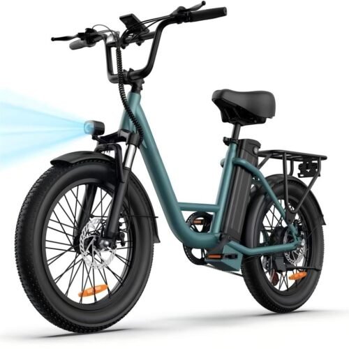 Electric Bike, 1000W Motor, 48V 13Ah Battery, 20" Fat Tire | 28MPH Top Speed | 80 Miles Max Range | All-Terrain | Removable Battery | Colorful Display | For Adults and Teens