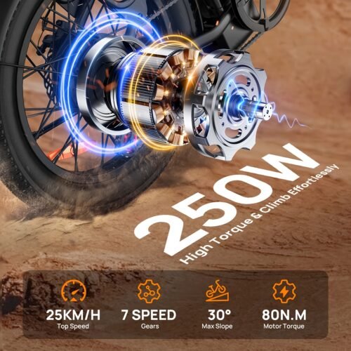 Electric Bike, 1000W Motor, 48V 13Ah Battery, 20" Fat Tire | 28MPH Top Speed | 80 Miles Max Range | All-Terrain | Removable Battery | Colorful Display | For Adults and Teens