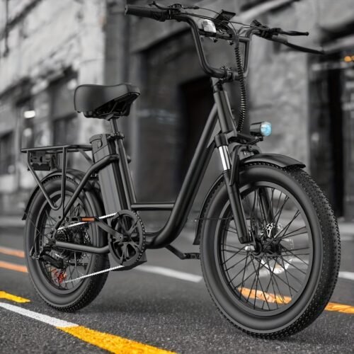 Electric Bike, 1000W Motor, 48V 13Ah Battery, 20" Fat Tire | 28MPH Top Speed | 80 Miles Max Range | All-Terrain | Removable Battery | Colorful Display | For Adults and Teens