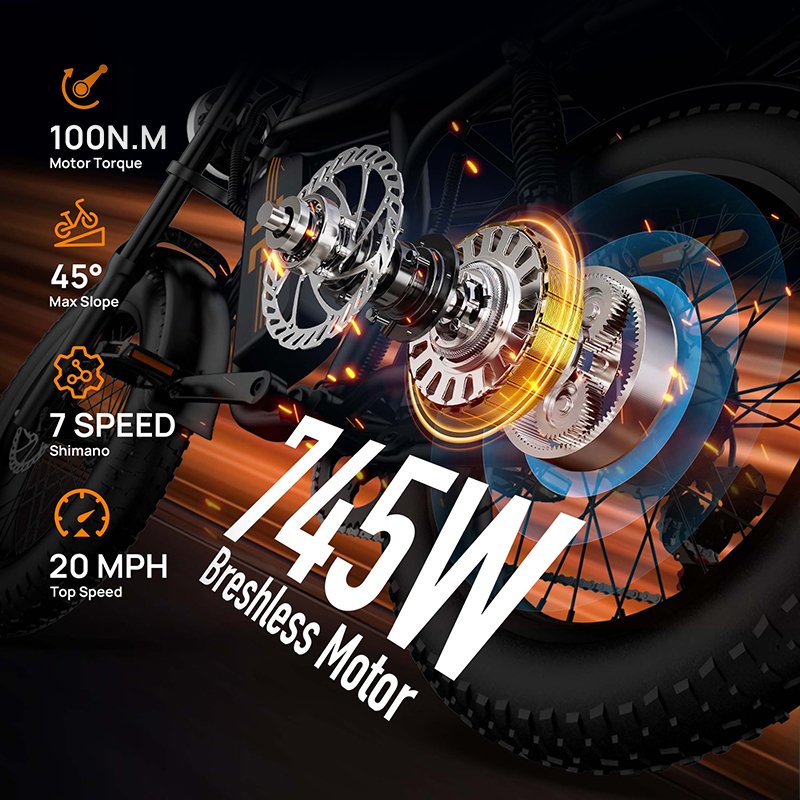 URLIFE T2 20" Electric Dirt Bike 745W Motor 48V 15.6Ah Battery