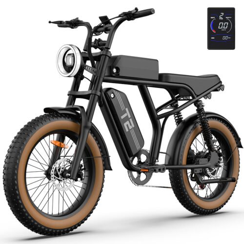 URLIFE T2 20" Electric Dirt Bike 745W Motor 48V 15.6Ah Battery