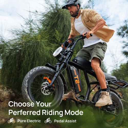 URLIFE T2 20" Electric Dirt Bike 745W Motor 48V 15.6Ah Battery